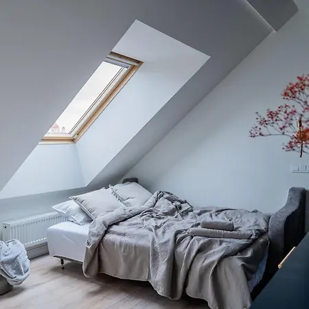 Domillion Amazing 3bdr Penthouse With Terrace Mz28