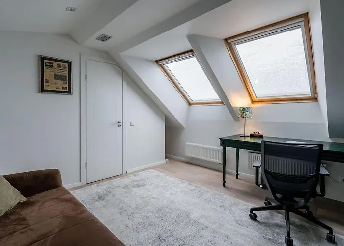 Domillion Amazing 3bdr Penthouse With Terrace Mz28 アパート ヴィリニュス