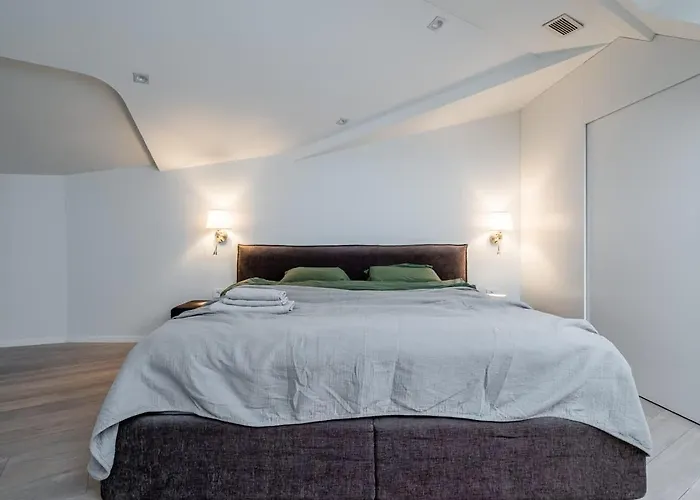 アパート Domillion Amazing 3bdr Penthouse With Terrace Mz28 ヴィリニュス