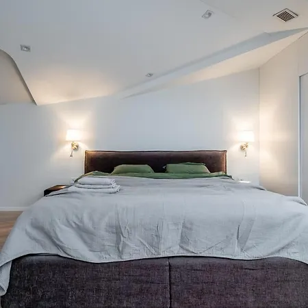 公寓 Domillion Amazing 3bdr Penthouse With Terrace Mz28 维尔纽斯